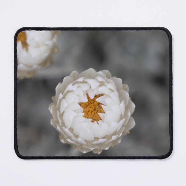 Item preview, Kosciusko Paper Flowers designed and sold by Alyssa Cronk.