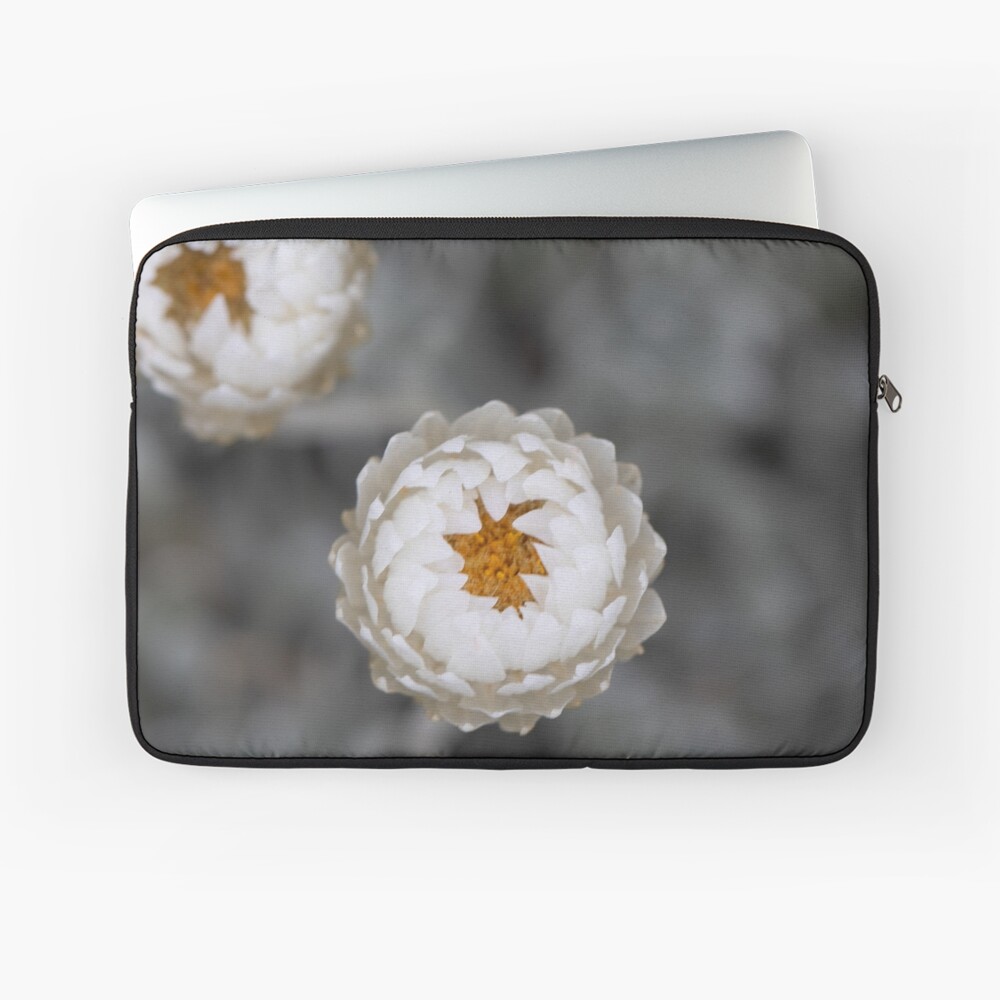 Item preview, Laptop Sleeve designed and sold by alymae77.