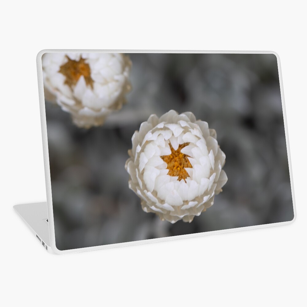 Item preview, Laptop Skin designed and sold by alymae77.