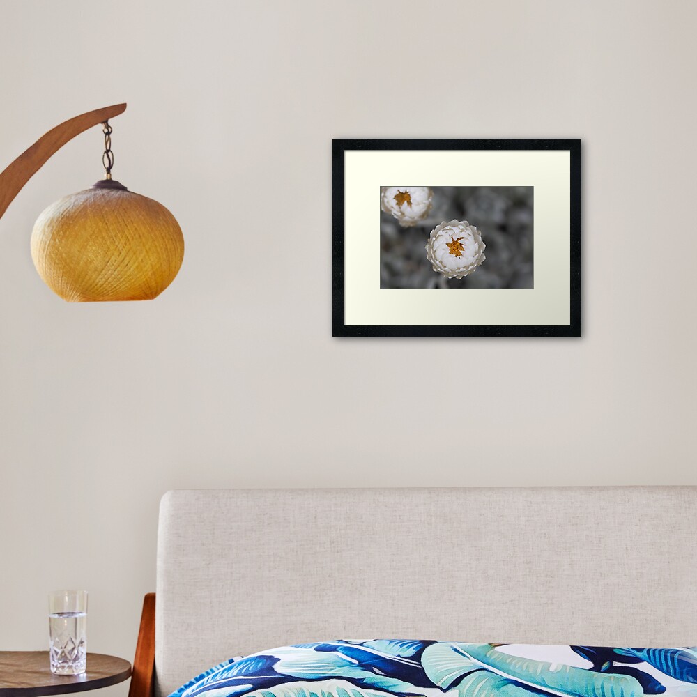 Item preview, Framed Art Print designed and sold by alymae77.