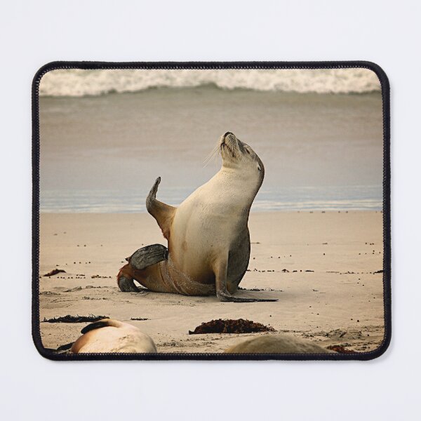 Item preview, Sea Lion on Near Seashore during Daytime designed and sold by SAM FRITA.