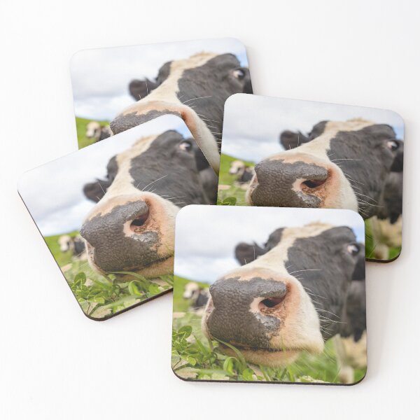 Item preview, Cute cow at Azores islands, funny animals, in nature. designed and sold by AylaHarbich.