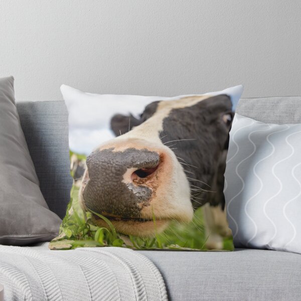 Item preview, Cute cow at Azores islands, funny animals, in nature. designed and sold by AylaHarbich.