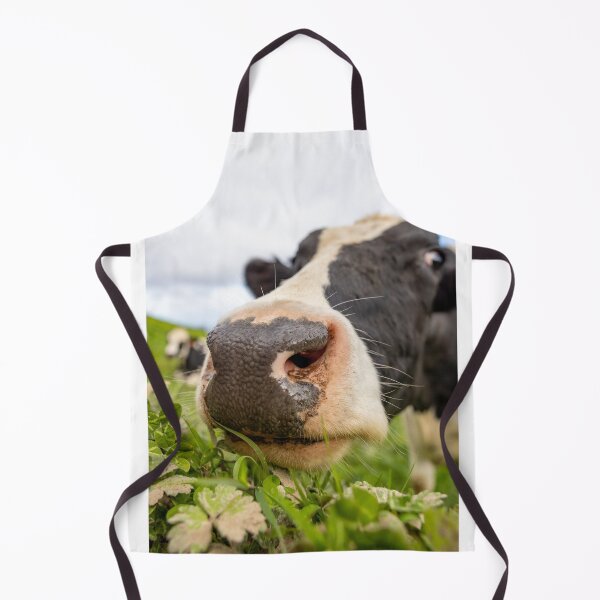 Item preview, Cute cow at Azores islands, funny animals, in nature. designed and sold by AylaHarbich.