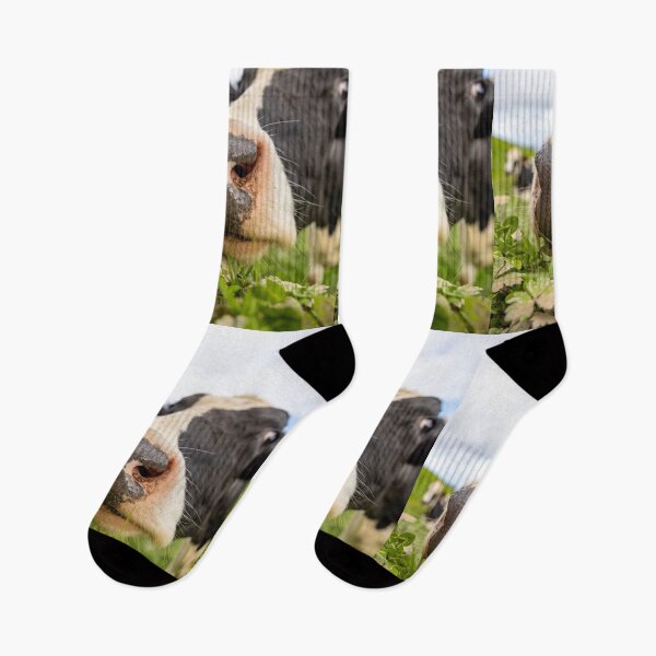 Item preview, Cute cow at Azores islands, funny animals, in nature. designed and sold by AylaHarbich.