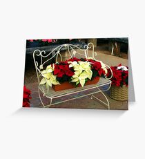 Poinsettias Setting on a Bench Greeting Card