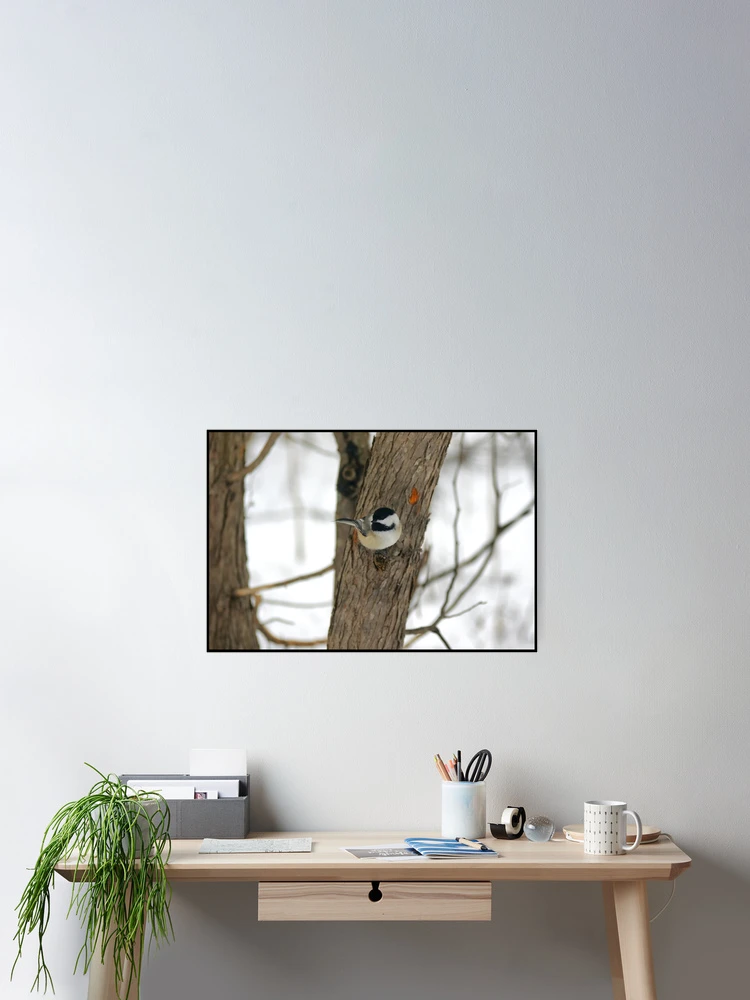 Thumbnail 2 of 3, Poster, Chickadees designed and sold by Shell59.