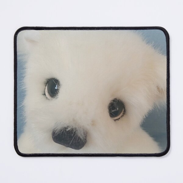 Item preview, Hand made collectable teddy bear from Teddy Bear Orphans -Riko close up designed and sold by Teddy Bear Orphans .