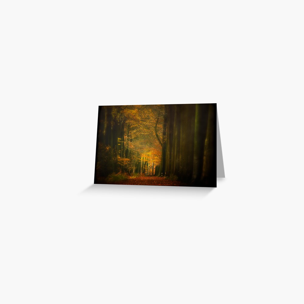 Misty light in woods Greeting Card