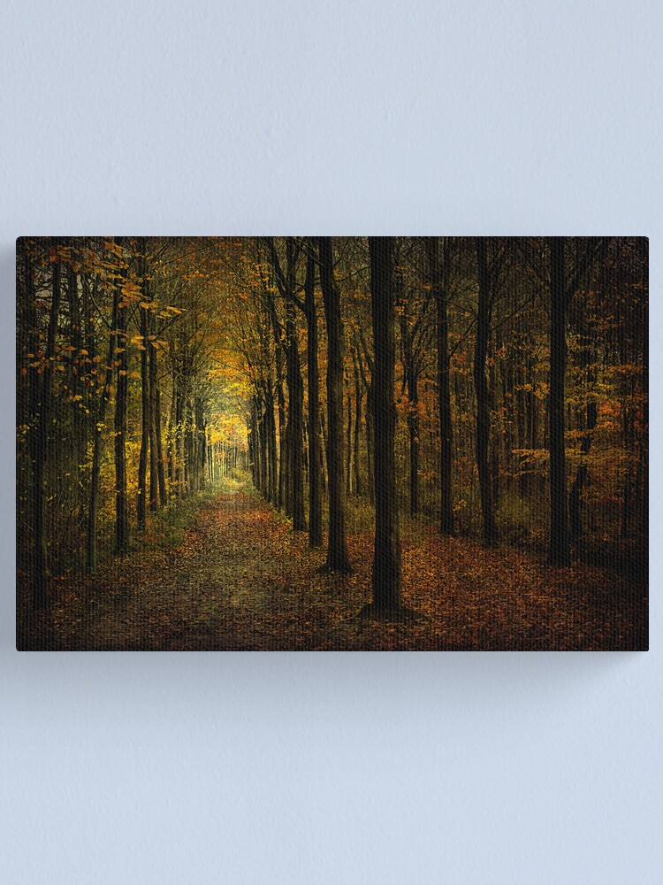 Alternate view of lots of trees Canvas Print