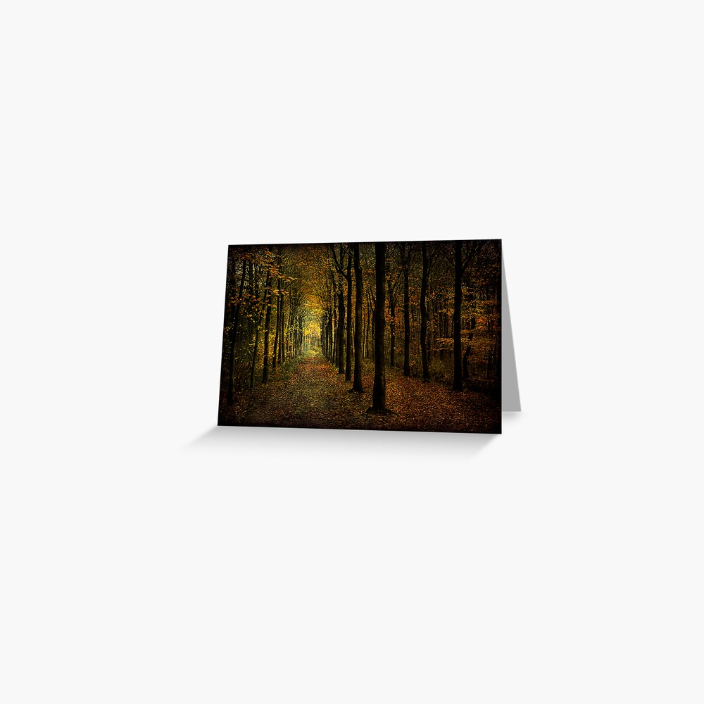 lots of trees Greeting Card