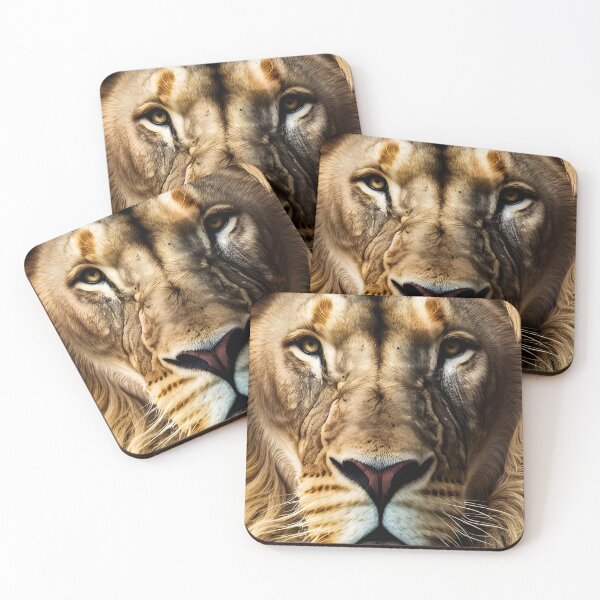 Item preview, Face of Lion king isolated , Portrait Wildlife animal  designed and sold by MarketVisionAV.