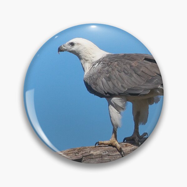Item preview, White-bellied Sea eagle designed and sold by scar.