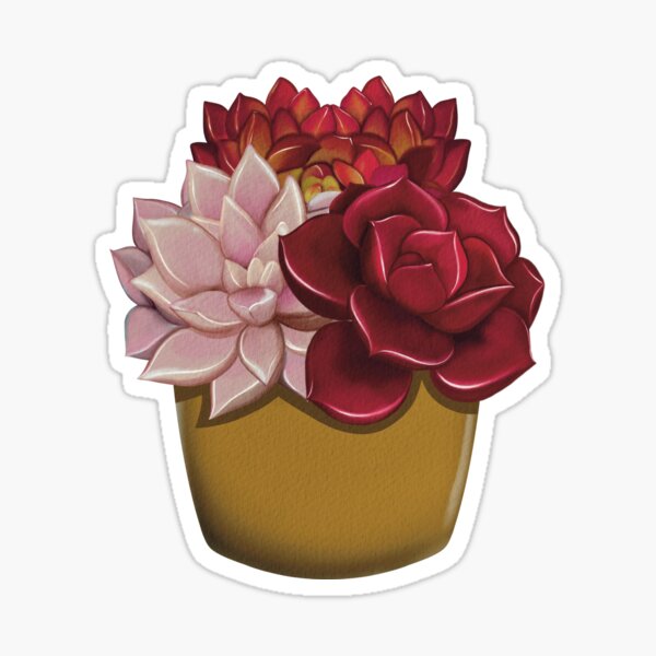 Three kind of red and pink succulent in a clay pot Sticker