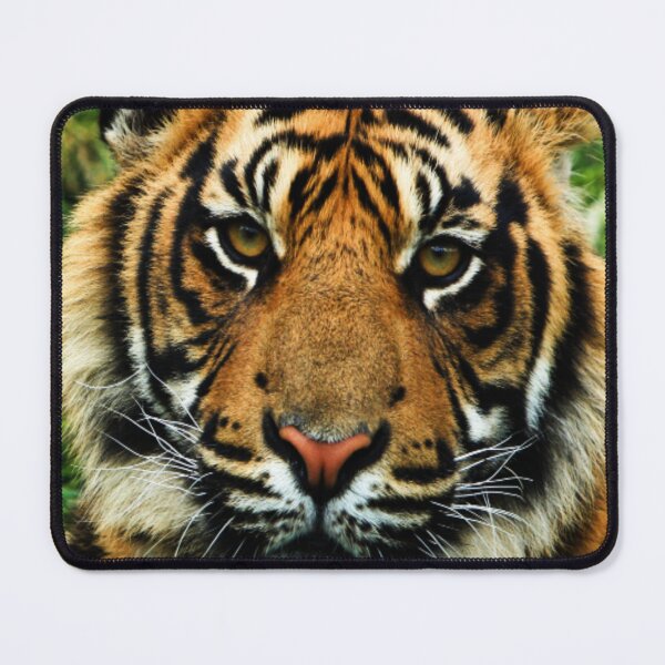 Item preview, tiger designed and sold by MMSHOP7.