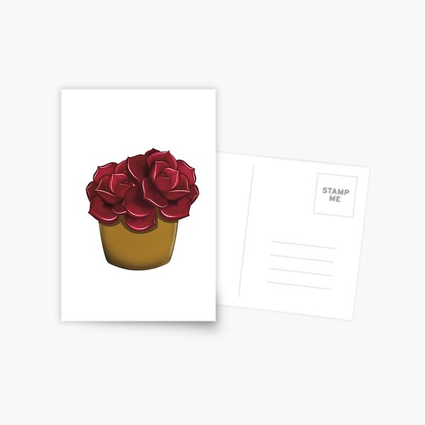 Red Rose Succulent in a Clay Pot Postcard