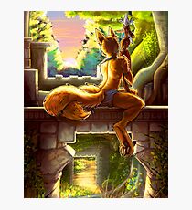 Overseer Photographic Print