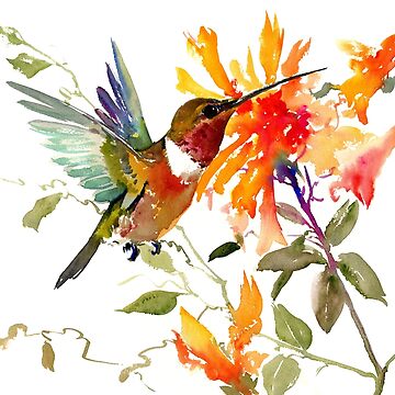 Aperçu de l'œuvre Colibri et fleurs d'oranger de surenart