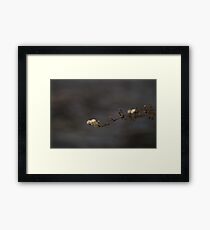 Rush Framed Print