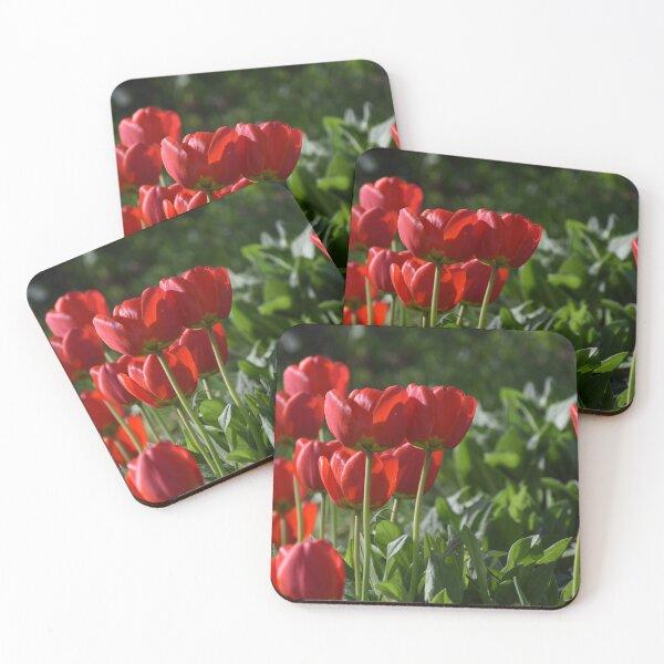 Item preview, The first tulips in spring designed and sold by Claude Laprise.