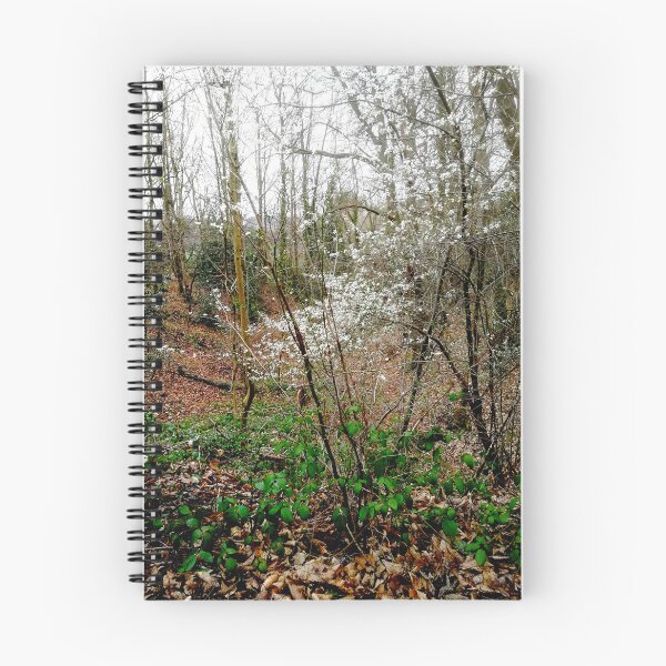 Item preview, blackthorn designed and sold by Nickdavisinghe.