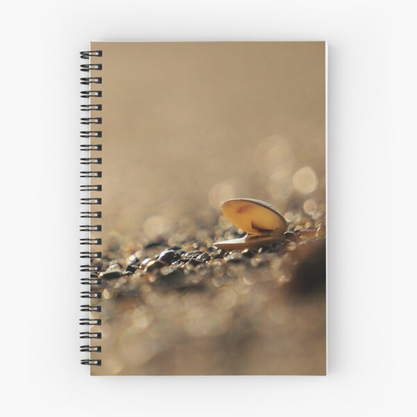 Item preview, Seashell on the Beach designed and sold by Nalinne Jones.