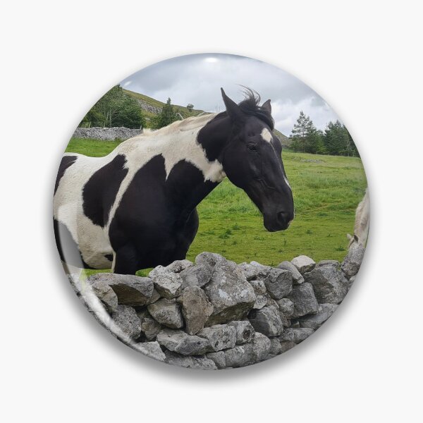 Item preview, Dales Pinto designed and sold by Kat Simmons.