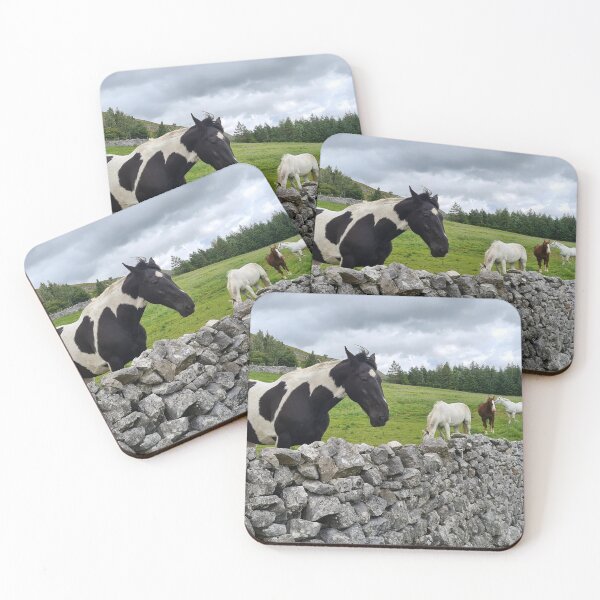 Item preview, Dales Pinto designed and sold by Kat Simmons.