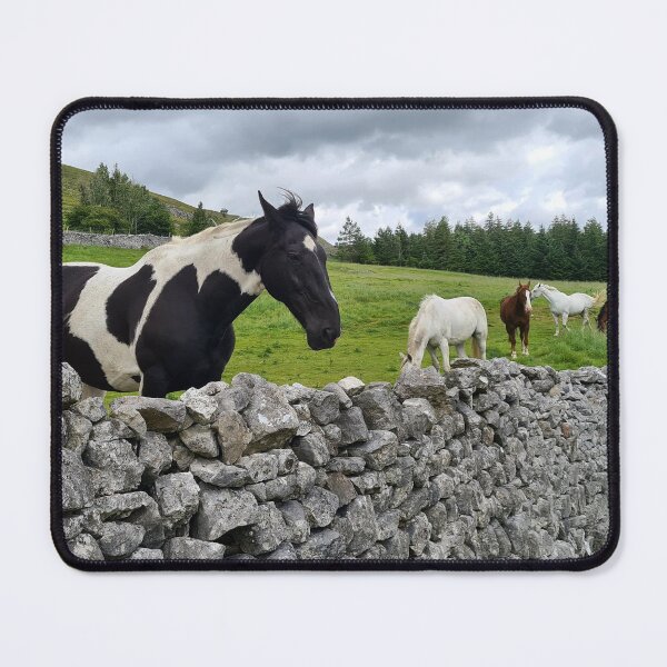 Item preview, Dales Pinto designed and sold by Kat Simmons.