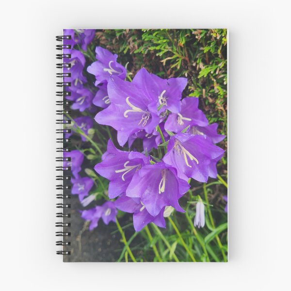 Item preview, Bellflowers designed and sold by Kat Simmons.