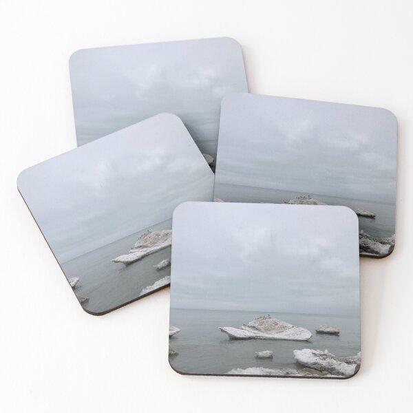 Item preview, Seagulls on Ice Chunk | Nature Landscape Photography designed and sold by Jacqueline Elise.
