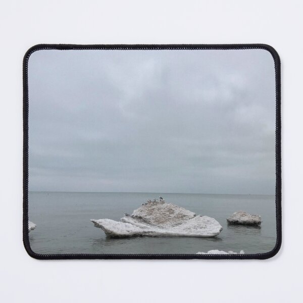 Item preview, Seagulls on Ice Chunk | Nature Landscape Photography designed and sold by Jacqueline Elise.