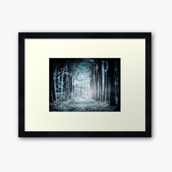 Night, Woods Framed Art Print