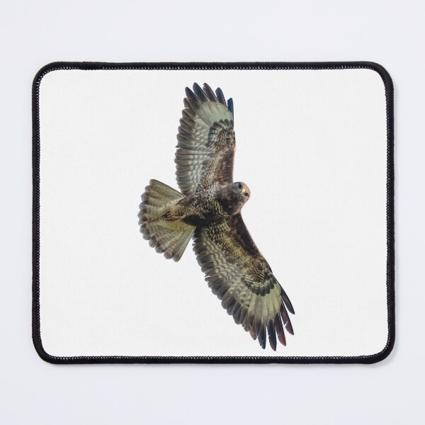 Item preview, Buzzard on Watch! designed and sold by Dalyndigital Photography.