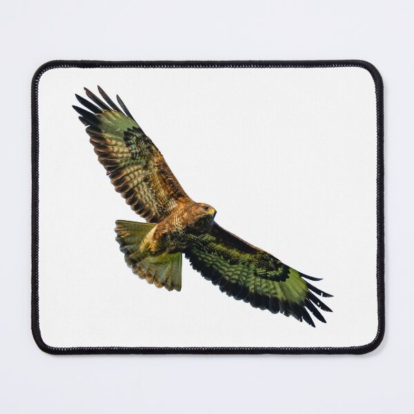 Item preview, Soaring high Buzzard designed and sold by Dalyndigital Photography.