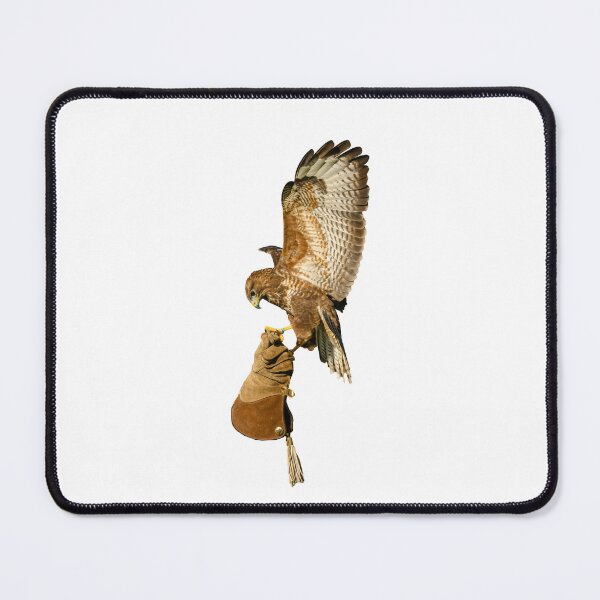Item preview, Buzzard coming to the glove designed and sold by Dalyndigital Photography.