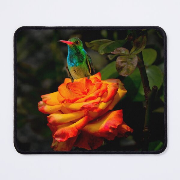 Item preview, The Attraction For Tom Thumb II designed and sold by alabca.