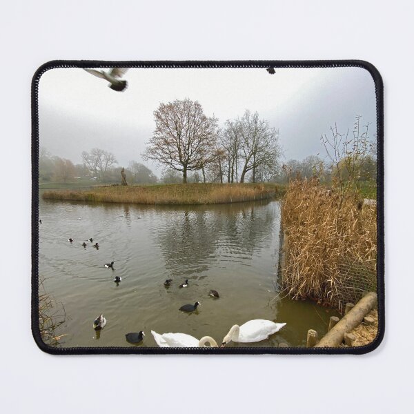 Item preview, Late Winter Scene with birds flying and swans floating designed and sold by Paddyb17.