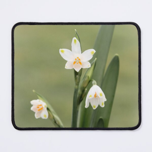 Item preview, Summer Snowflakes designed and sold by JEZ22.
