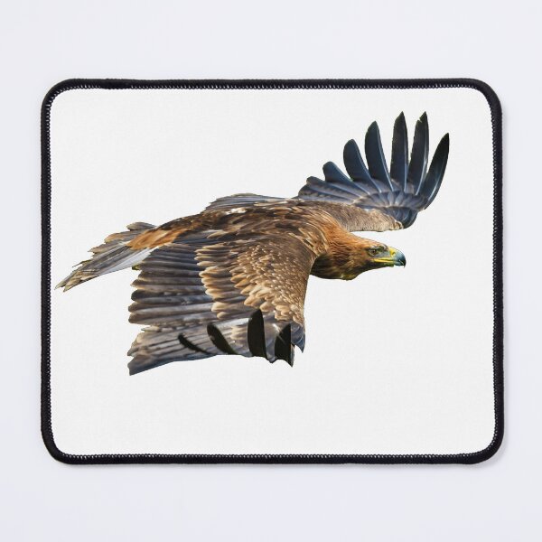 Item preview, Golden  Eagle on the wing  designed and sold by Dalyndigital Photography.