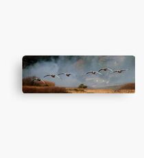Bar Head Geese in Flight Canvas Print