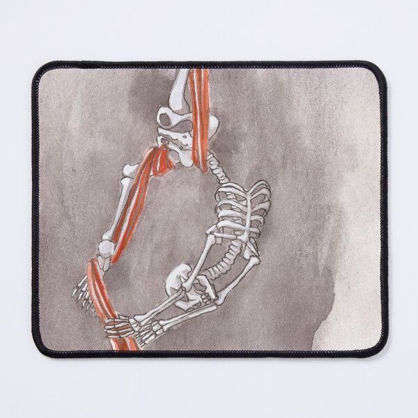 Item preview, Skeleton doing Aerial Silks designed and sold by lysswhitart.
