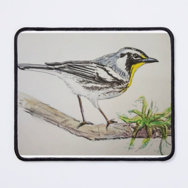 Item preview, Yellow-throated Warbler Study designed and sold by anwar-art.