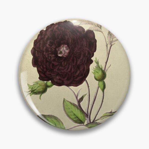 Item preview, Rose Thurett with Details designed and sold by ptMaker.