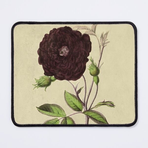 Item preview, Rose Thurett with Details designed and sold by ptMaker.