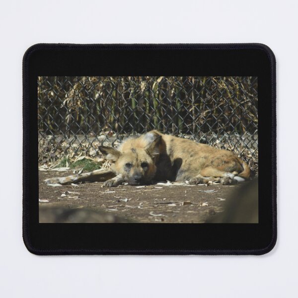 Item preview, African Wild Dog designed and sold by MarieDarcy97.
