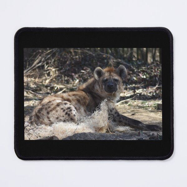 Item preview, Spotted Hyena designed and sold by MarieDarcy97.