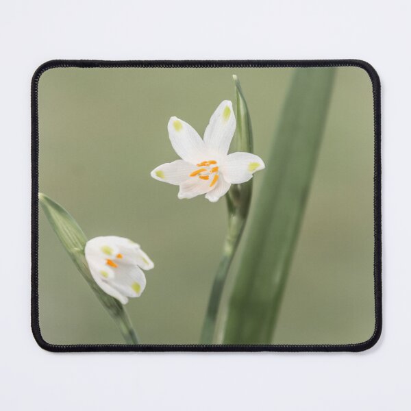Item preview, Snowflakes designed and sold by JEZ22.