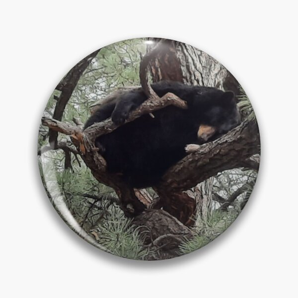 Item preview, Bear Sleeping in a Tree Photography designed and sold by Zyrickora.