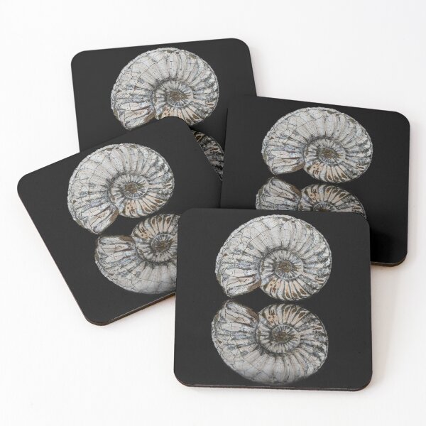 Item preview, fossil / shell designed and sold by marcrolandscape.